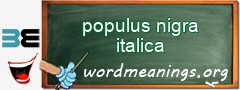 WordMeaning blackboard for populus nigra italica